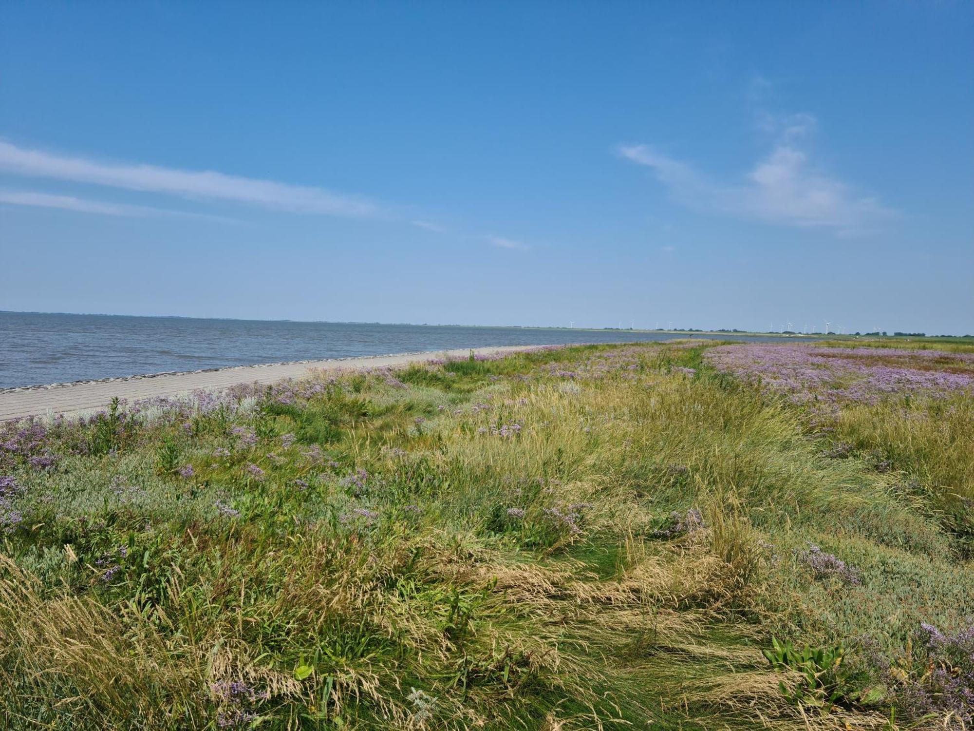 Haus Pudelwohl - Hundefreundliches Ferienhaus An Der Nordseekueste Sehestedt  Luaran gambar